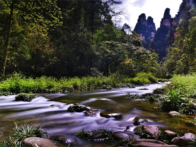 深度游玩核心景區(qū)—張家界國(guó)家森林公園