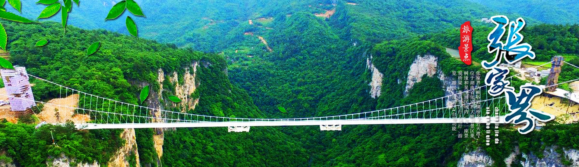 張家界中國(guó)國(guó)際旅行社有限公司_張家界跟團(tuán)游|張家界旅游攻略5天自由行