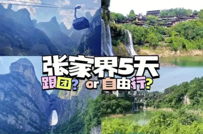 張家界跟團(tuán)游,張家界旅游攻略5天自由行,張家界自駕游,張家界旅游路線(xiàn)攻略,張家界中國(guó)國(guó)際旅行社