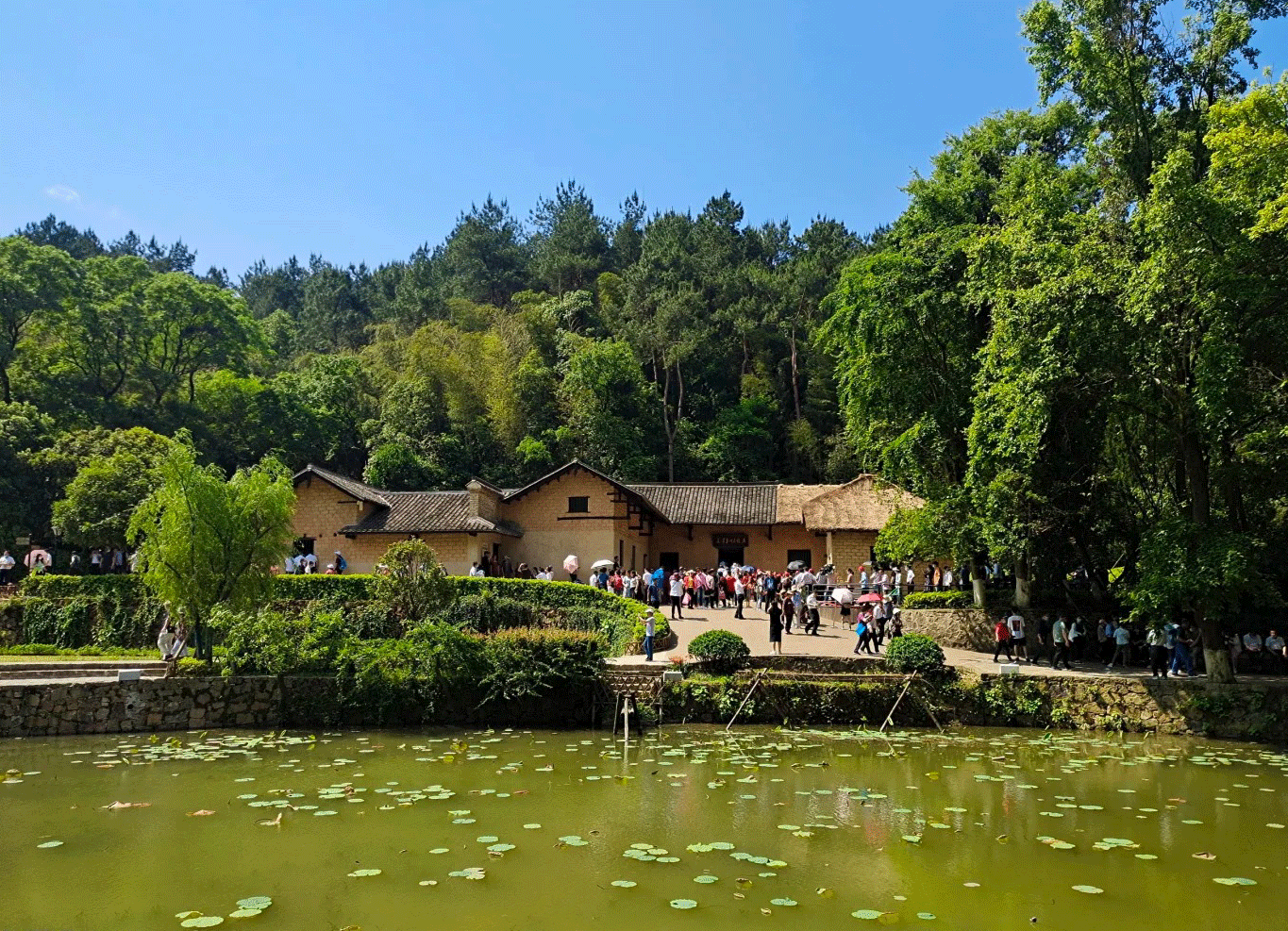 張家界跟團游,張家界旅游攻略5天自由行,張家界自駕游,張家界旅游路線攻略,張家界中國國際旅行社